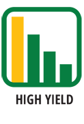 high-yield